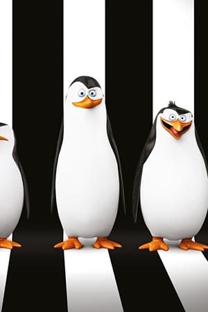 The Penguins of Madagascar: Operation Search and Rescue