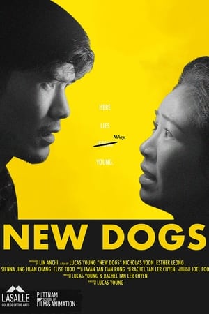 New Dogs