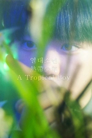 A Tropical Boy