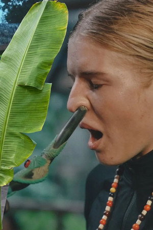 Into the greens: Deep in the rainforest