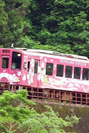 On Track for the Next Decade: Nishikigawa Railway