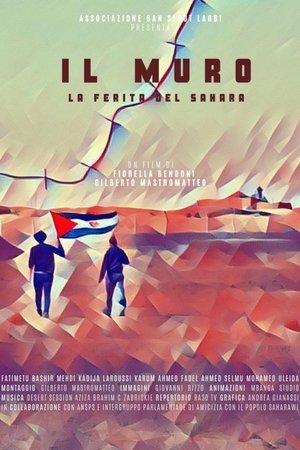 Il muro, la ferita del Sahara