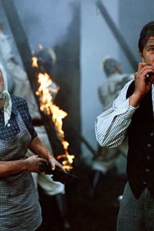 Vrah se skrývá v poli