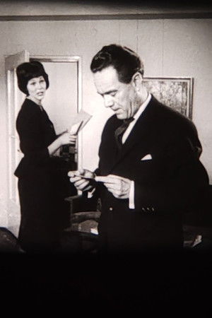 Alle Menschen sind vor dem Gesetz gleich