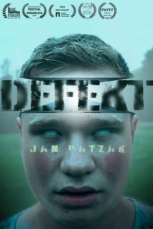 Defect