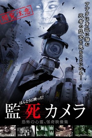 Hontou ni Utsutta Kanshi Camera