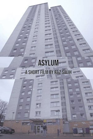 Asylum