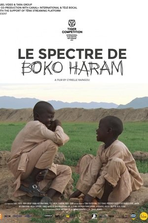 Le spectre de Boko Haram