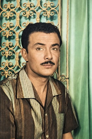 Salah Zulfikar Salah Zulfikar