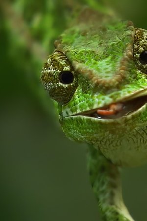 26. epizoda