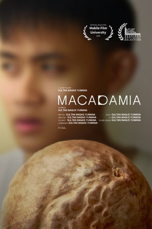 Macadamia