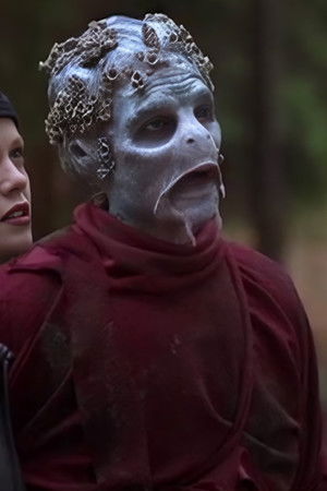 Zkouška použitelnosti