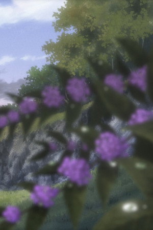 Following a Narrow Path