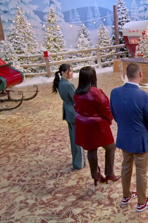 Mrs. Claus' Night Out