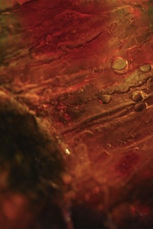 La Alquimia de las Flores