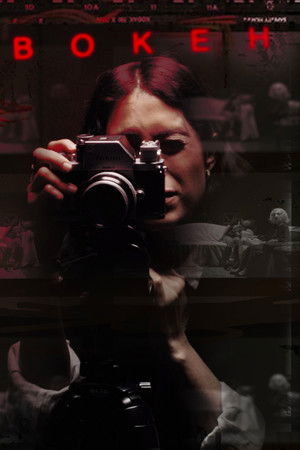 Bokeh