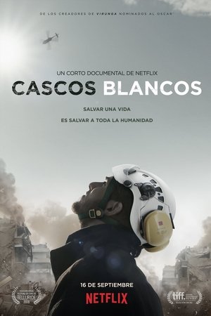 Imagen de Cascos Blancos