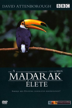 A madarak élete