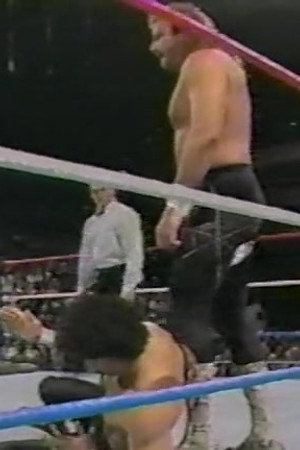 November 26, 1988 - Superstars of Wrestling 117