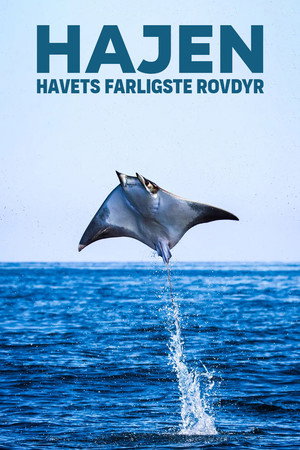 Hajen - havets farligste rovdyr