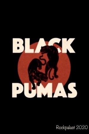 Black Pumas - Rockpalast