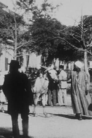 Le Caire : Place de l'Opéra