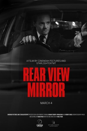 REAR VIEW MIRROR