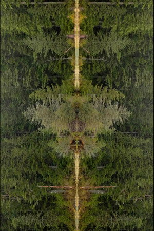 Mirrorpond
