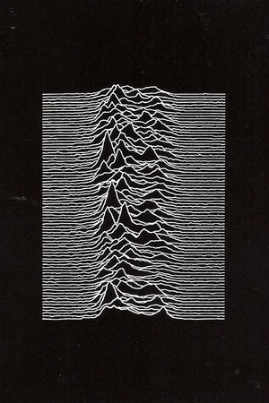 Pulsar: From Science to Pop Culture