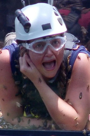 Celebrities Assemble