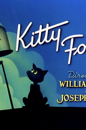 Kitty Foiled