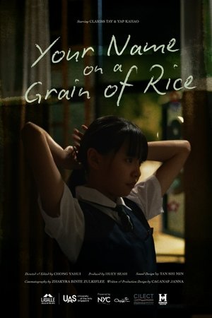 Your Name on a Grain of Rice