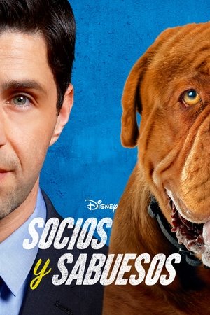 Temporada 1