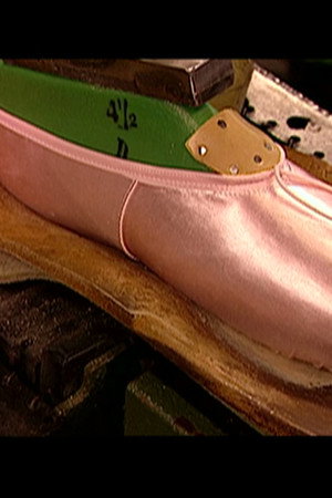 Wood Burning Stoves, Orthoses, Ballet Slippers, Buses