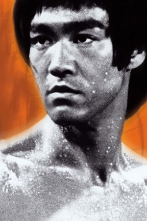 Bruce Lee: The Immortal Dragon