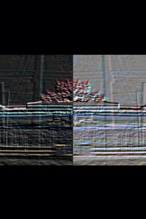 Cylinder Seal