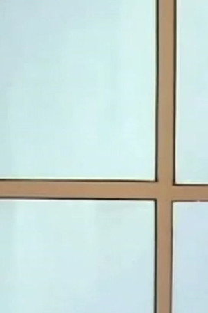 Episode 343