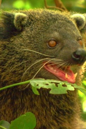 8. epizoda