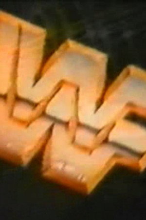 January 28, 1989 - Superstars of Wrestling 126