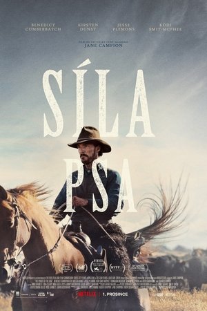 Síla psa