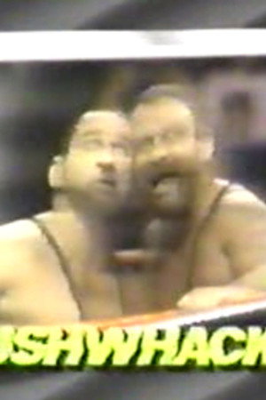 March 11, 1989 - Superstars of Wrestling 132