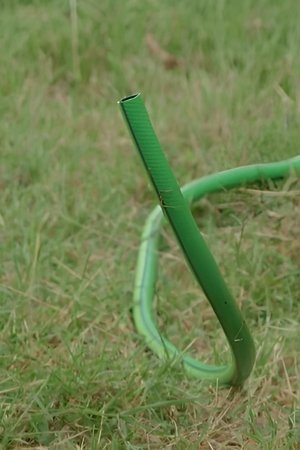 7. epizoda