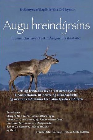 Augu Hreindýrsins