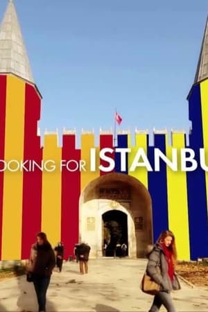 Looking for Istanbul