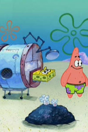 Funny Pants