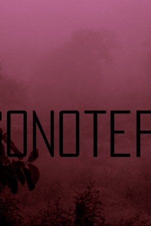 Sonoterapia