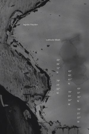 Latitude Mesh
