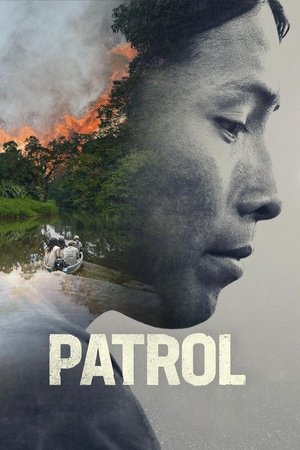 Patrullaje