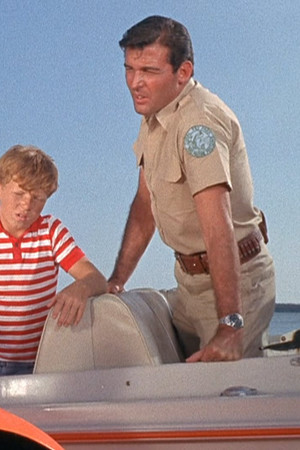 The Call of the Dolphin