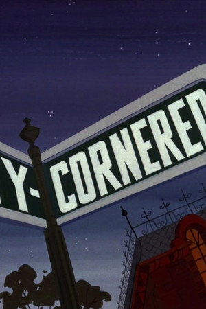 Catty Cornered